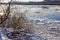 Ice drift on a river with blue high water and big water, white snow broken ice full of hummocks in it and tree branches in the