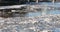 Ice Drift In Vilnius, Lithuania. River Neris. Ice floes float on the river in the spring. Ice drift movement. Winter landscape.