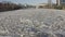 Ice Drift In Vilnius, Lithuania. River Neris. Ice floes float on the river in the spring. Ice drift movement. Winter landscape.