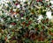 Ice encrusted holly and berries against a wood fence