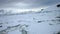 Ice field, Antarctica, ships wake