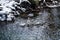 Ice figurines, iced tree, branches in icy glaze, frozen water in icicles, ice patterns