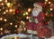 An Ice Fishing Santa and Furry Friends