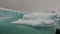 Ice floe and iceberg in ocean of Antarctica.