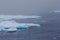 Ice floes near the north pole