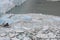 Ice floes of Perito Moreno glacier