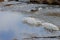 Ice floes on spring