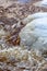 Ice floes in a stream