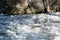 Ice flowing in Yosemite River