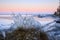 Ice formation on lakeside