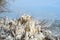 Ice formations along the shore of Lake Michigan, north of Chicago.