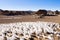 Ice formations modeled by wind, Bolivia