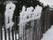 Ice formed on the fence in strong wind and cold and high humidity