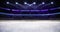 Ice hockey arena indoor illuminated loop animation