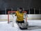 Ice hockey goalkeeper