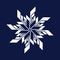 Ice hockey snowflake logo