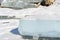 Ice hummocks on a frozen river. Huge chunks of ice close-up. Winter background