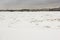 Ice hummocks on the Neva.