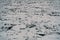 Ice hummocks on the Neva river. 2