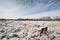 Ice jams on the Mohawk River