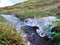 Ice over stream with water running beneath with grass and rushes