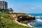 Ice Plants on Eroded Cliff at La Jolla Cove