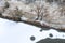 Ice on river, and frozen trees on riverbank. aerial view winter landscape