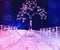 Ice sculpture of japanese cerise tree, illuminated at night in Confederation Park