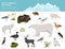 Ice sheet and polar desert biome. Terrestrial ecosystem world map. Arctic animals, birds, fish and plants infographic design