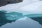 Ice shelf in glacial pool