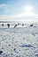 Ice-skating on frozen lake