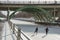 Ice skating under the bridge on the frozen Rideau Canal Ottawa W