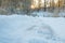 Ice and snow in forest. Sunset light, winter landscape. Cold weather in Europe nature.