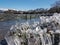 Ice stalactites in ioannina city greece in winter season in front of lake pamvotis greece