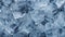 Ice texture close up for web design and backgrounds