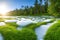 Ice thawing, green grass, and sunlight - Spring\\\'s awakening, revival