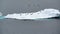 Iceberg with Adelie penguins standing upside iand flying cormorants n Antarctic Ocean near Paulet Island Antarctica.