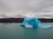 Iceberg and boat comparation in Lake Argentina