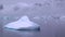 Iceberg in cold polar ocean