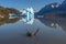 Iceberg and Dead Branch Reflection, Patagonia, Chile