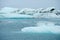 Iceberg float in a lake