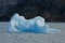 Iceberg floating on the Lake Argentino