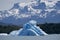 Iceberg floating on the Lake Argentino