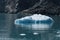 Iceberg floating at South Georgia Island in the Drygalski Fjord