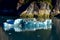 Iceberg floating in Tracy arm Fjord