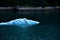 Iceberg floating in Tracy arm Fjord