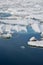 Iceberg and Glacial Melt in Southern Iceland