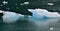 Iceberg in Glacier Bay in Alaska