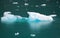 Iceberg in Glacier Bay in Alaska