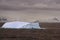 Iceberg glowing in an overcast dawn